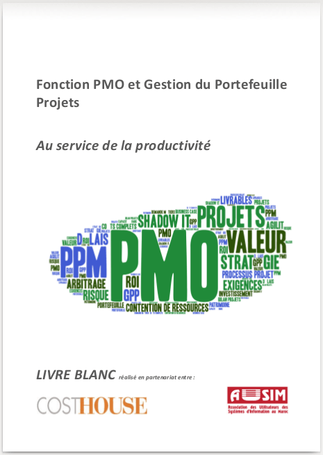 Fonction PMO et Gestion du Portefeuille Projets